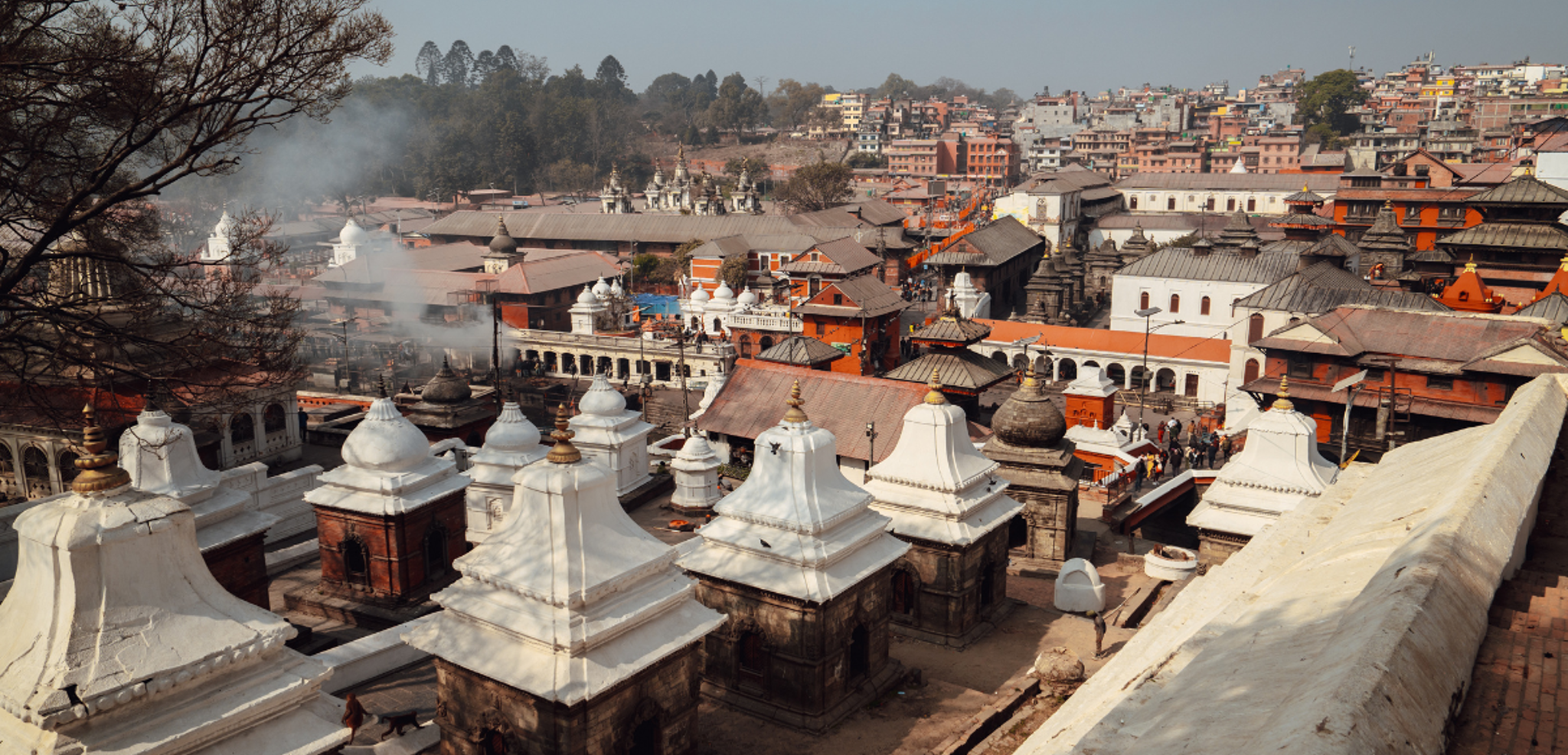 Pashupatinath, un site hindouiste dédié à Shiva