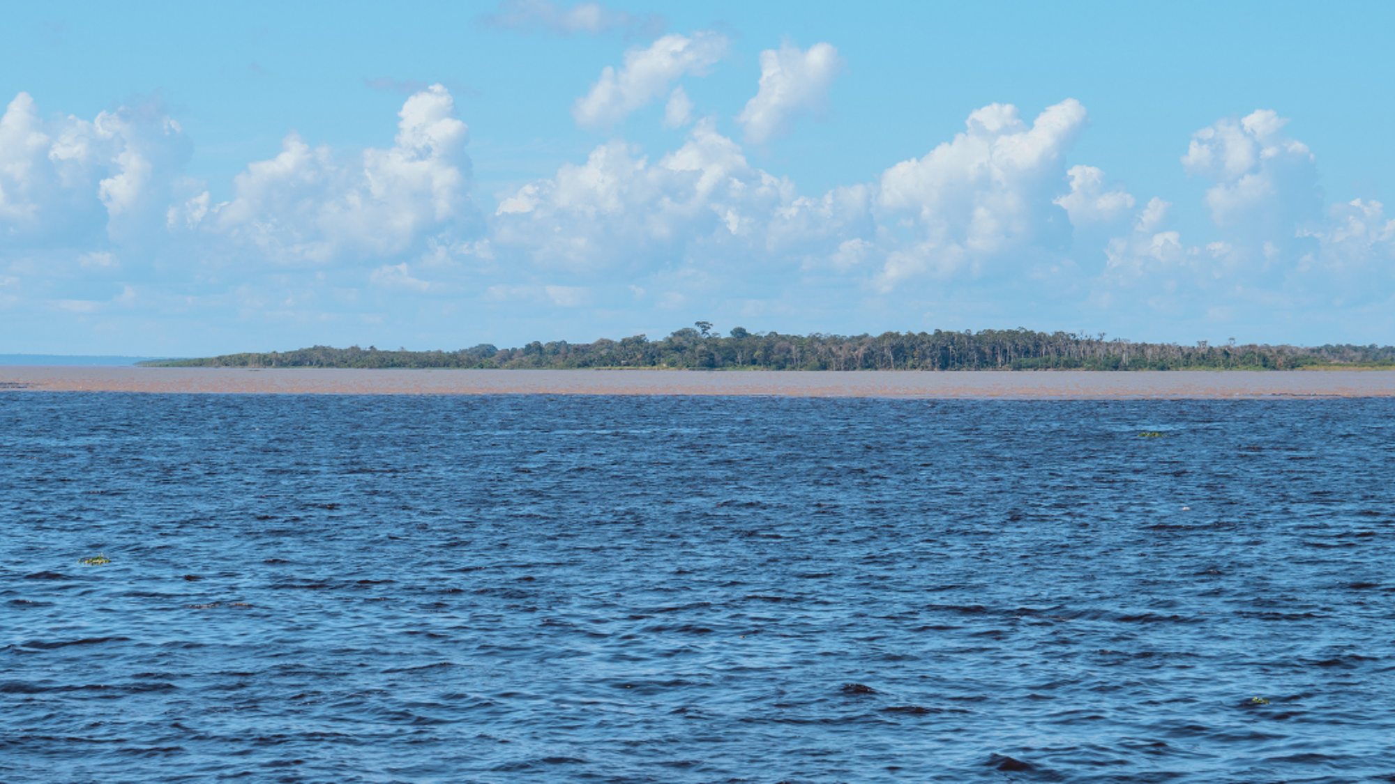 Point de rencontre des eaux noires du Rio Negro et des eaux claires du Rio Solimões