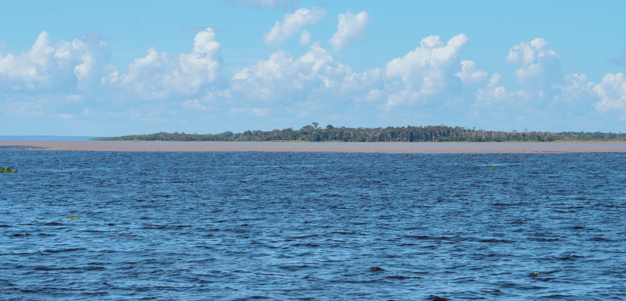 Point de rencontre des eaux noires du Rio Negro et des eaux claires du Rio Solimões