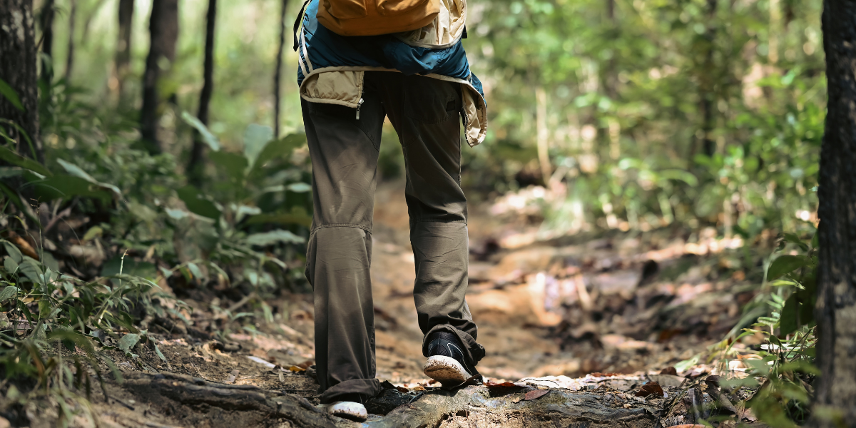 Randonnées au coeur de la forêt tropicale... 