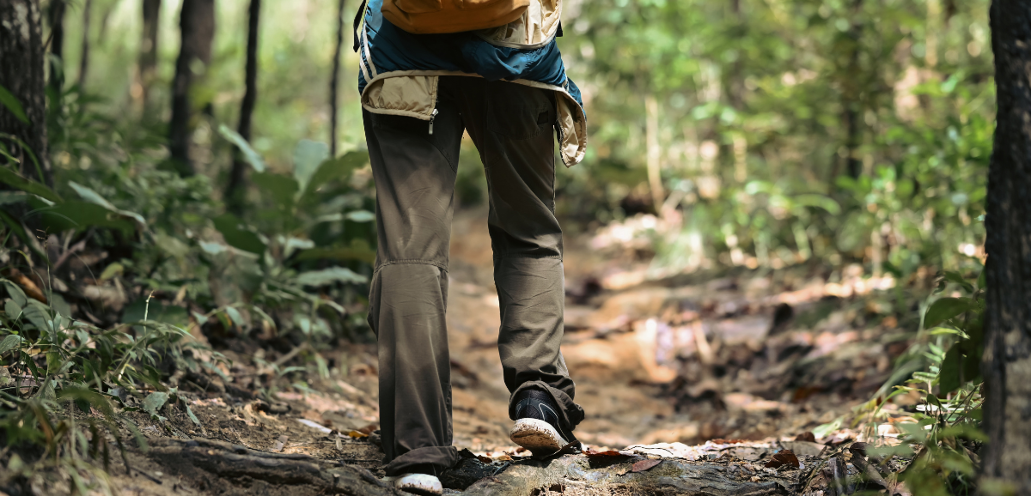 Randonnées au coeur de la forêt tropicale...