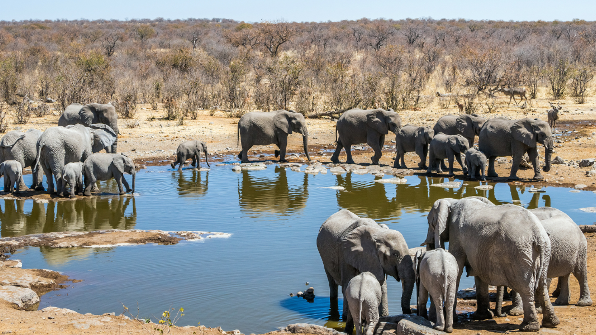 Et faites des rencontres inoubliables !