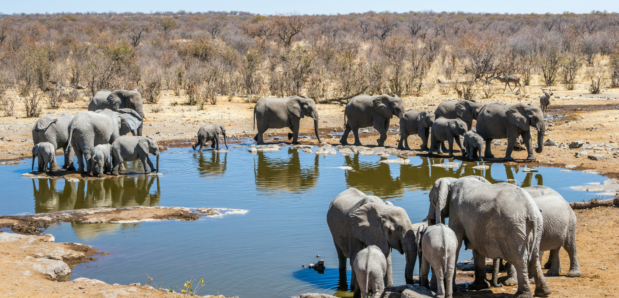 Et faites des rencontres inoubliables !