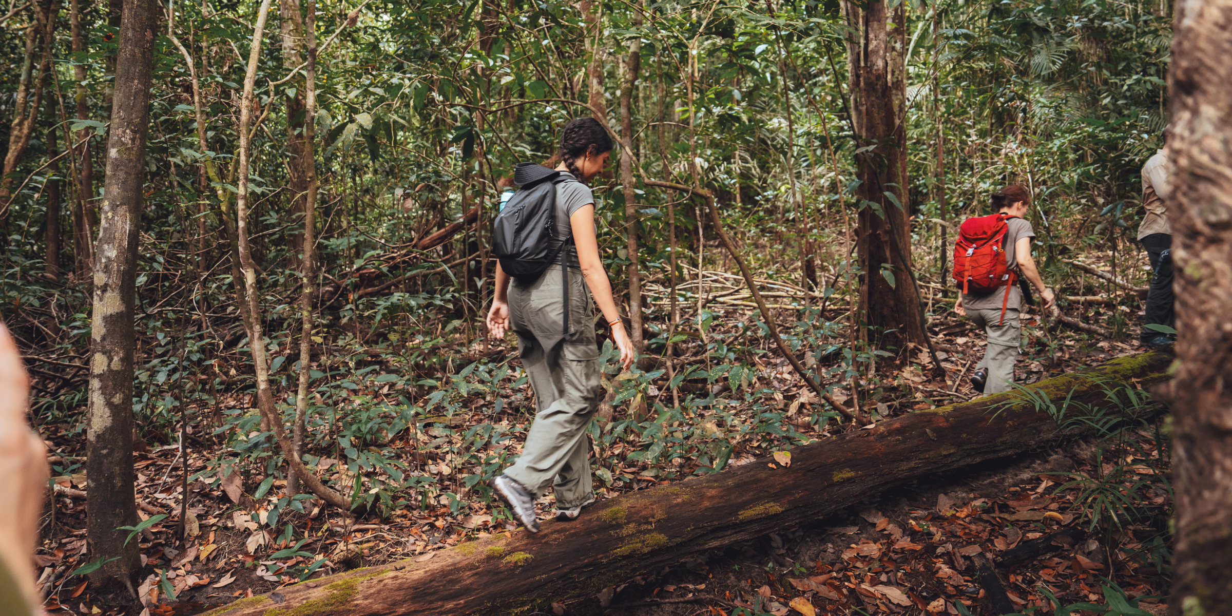 Randonnée, Amazonie, Brésil ©Maxime Moreau 