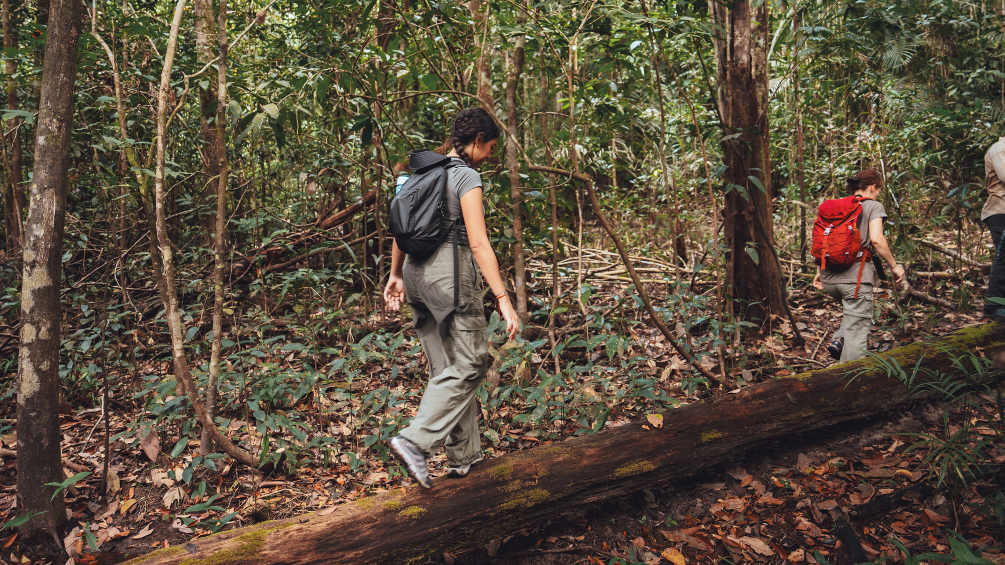 Randonnée, Amazonie, Brésil ©Maxime Moreau