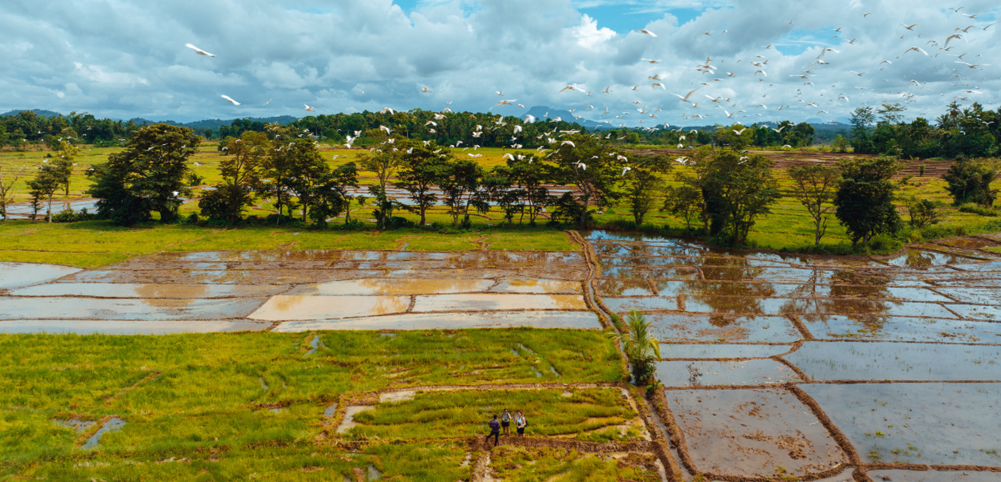 Un cadre magique pour relever les défis