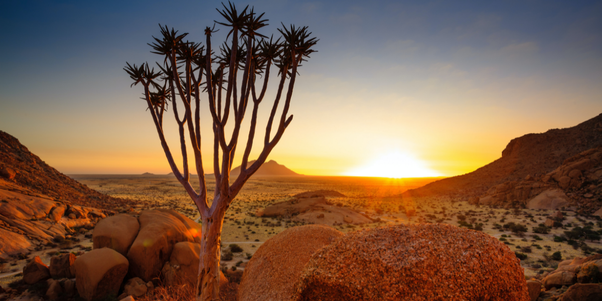  En poursuivant à travers le Damaraland et ses paysages à couper le souffle ! 