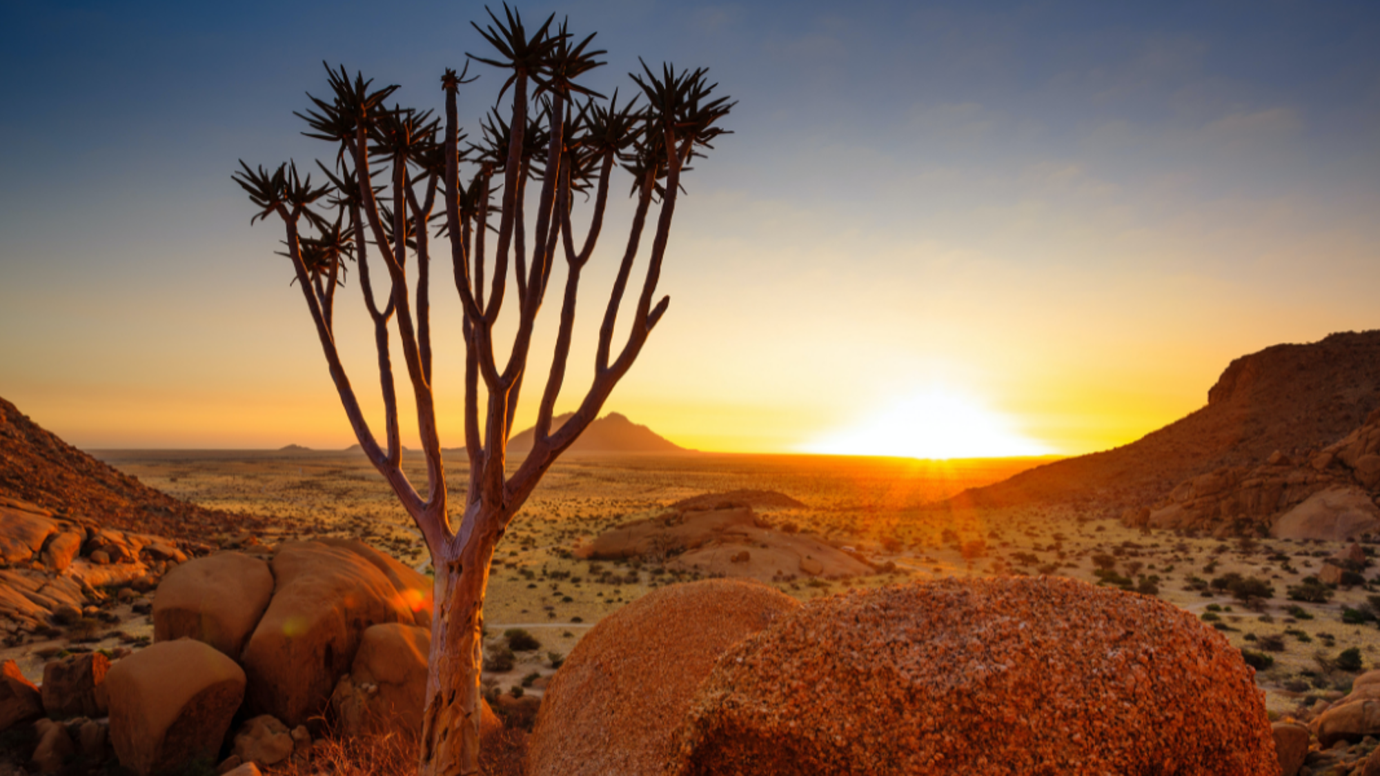 En poursuivant à travers le Damaraland et ses paysages à couper le souffle !
