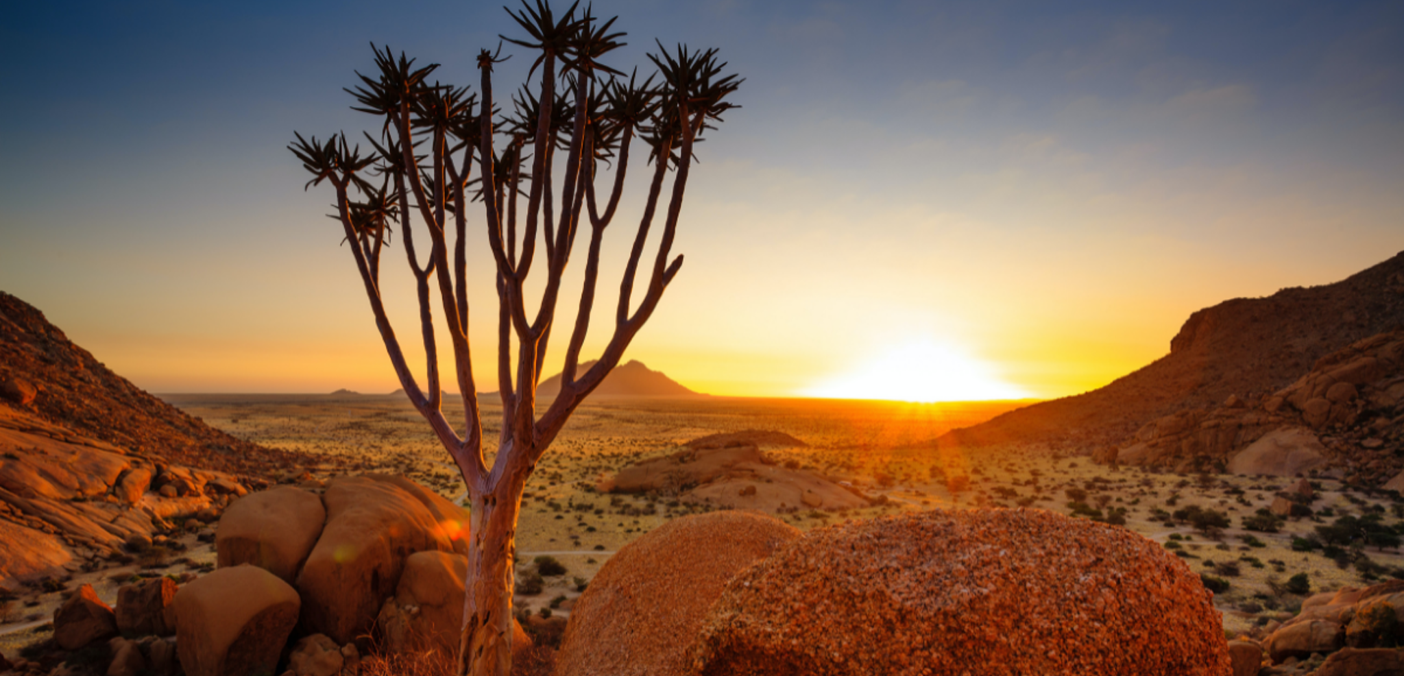 En poursuivant à travers le Damaraland et ses paysages à couper le souffle !