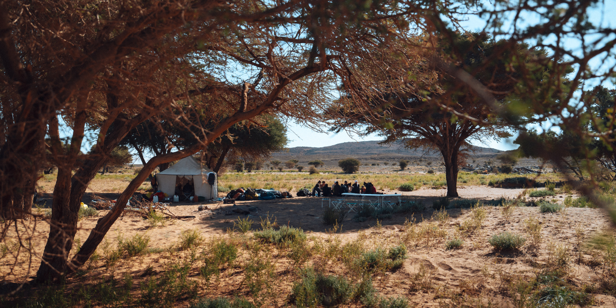 Votre campement nomade 