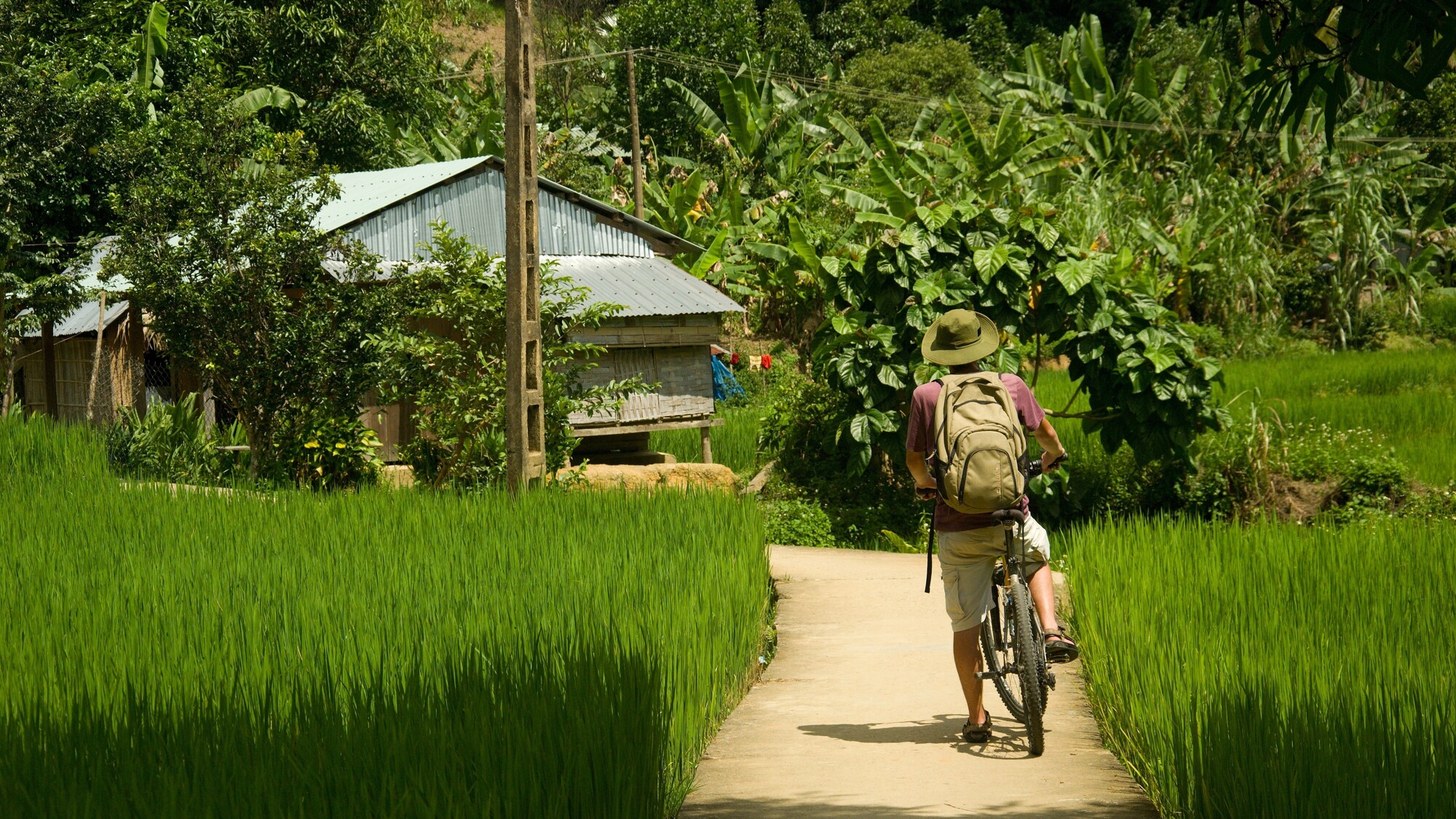 En vélo dans la campagne vietnamienne