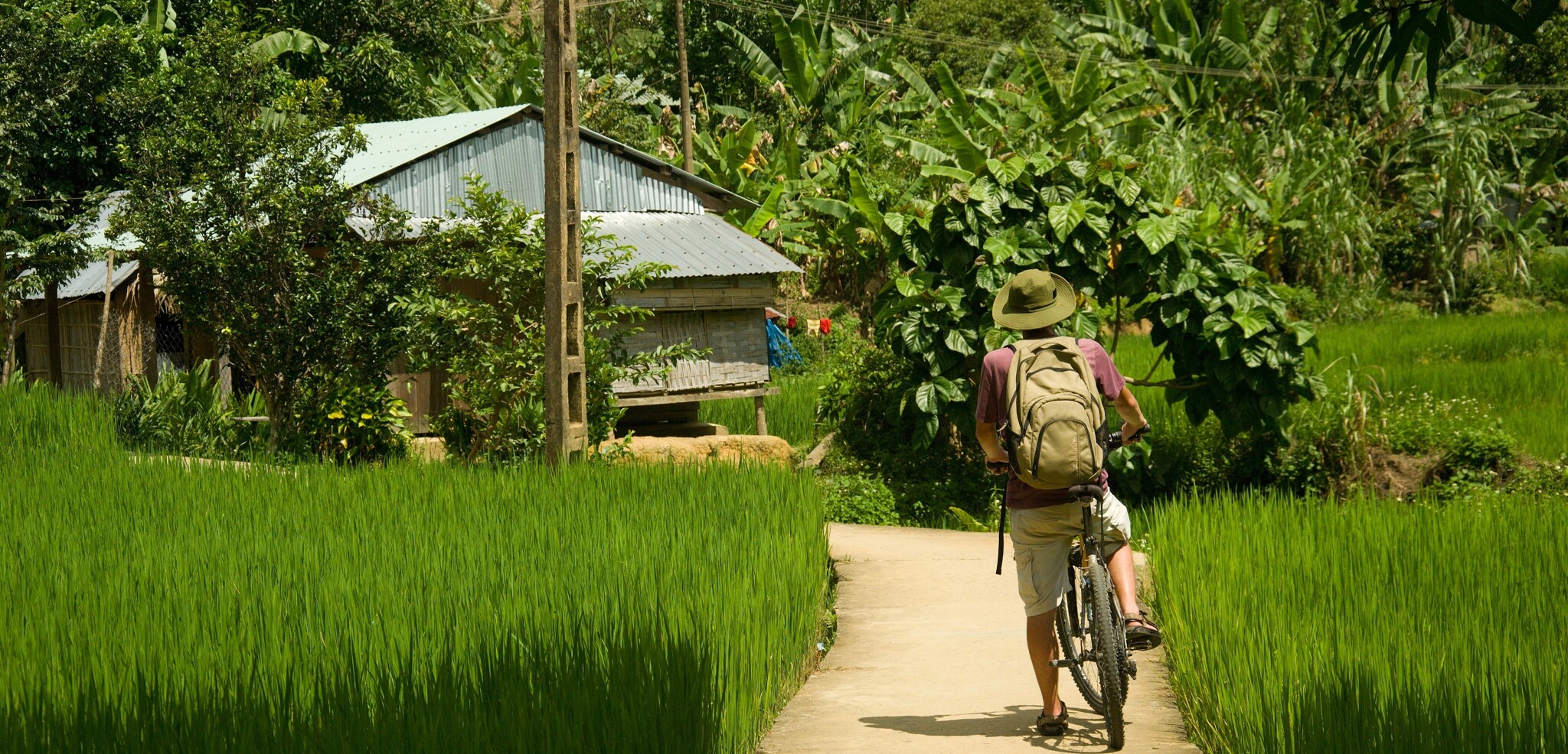 Enfourchez vos vélos dans la campagne vietnamienne