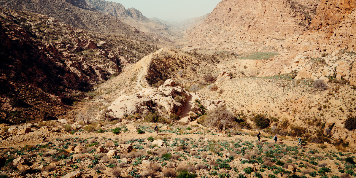 Réserve de Dana, Jordanie ©Maxime Moreau (départs en hiver uniquement)  