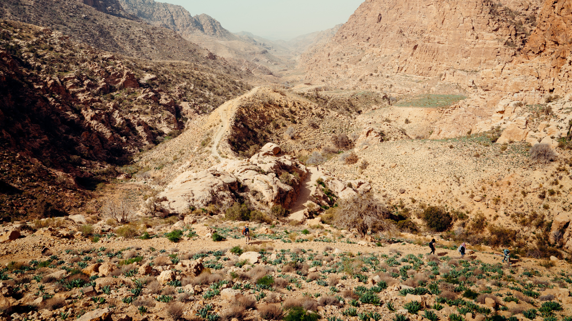 Réserve de Dana, Jordanie ©Maxime Moreau (départs en hiver uniquement)
