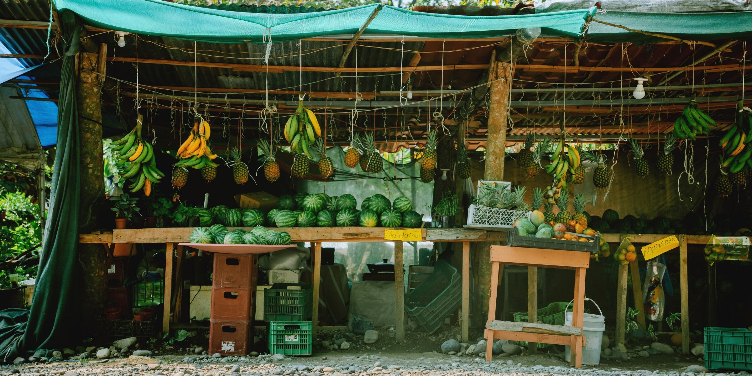 Sur le bord de la route, Costa Rica