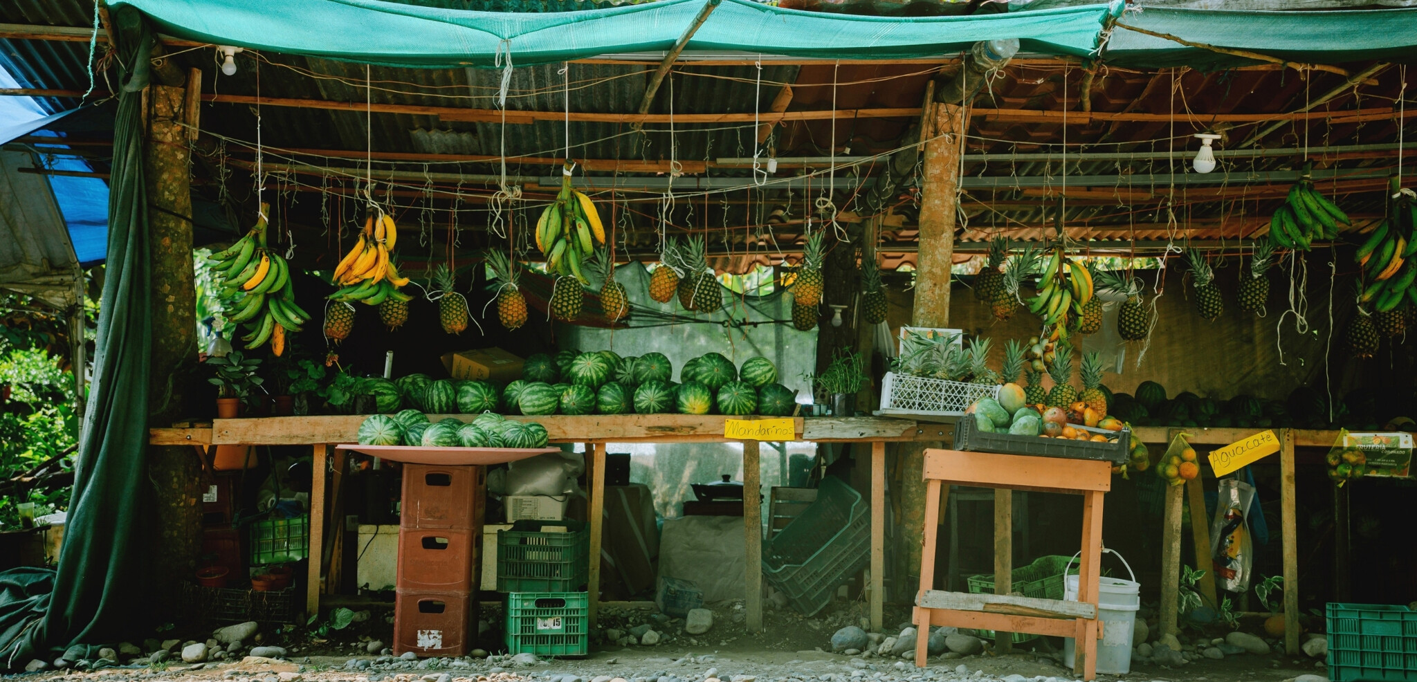 Sur le bord de la route, Costa Rica
