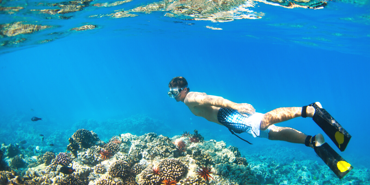 A la découverte des fonds marins 