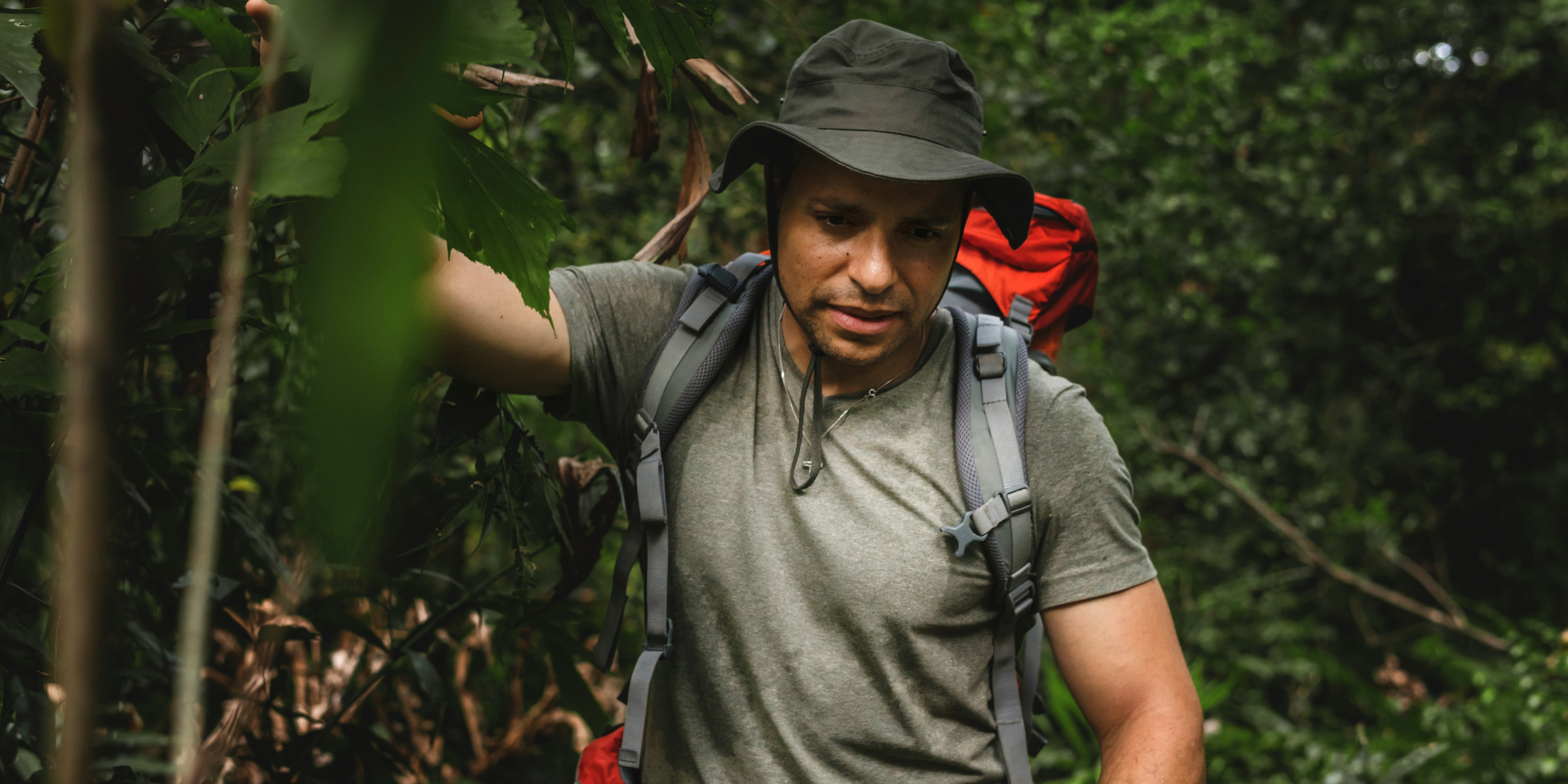 Jungle, Colombie ©curated lifestyle / Unsplash 
