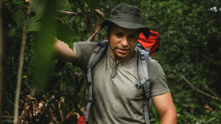 Jungle, Colombie ©curated lifestyle / Unsplash