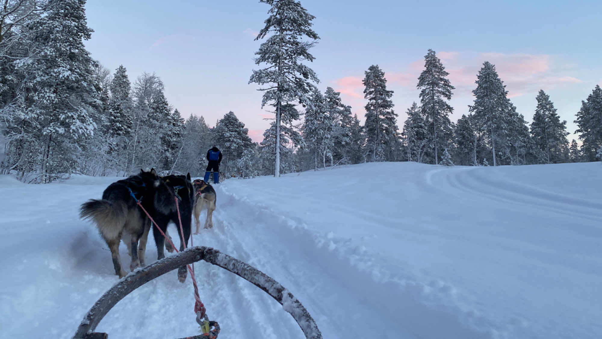 Ta balade en chiens de traineau à travers les forêts enneigées - Jour 6