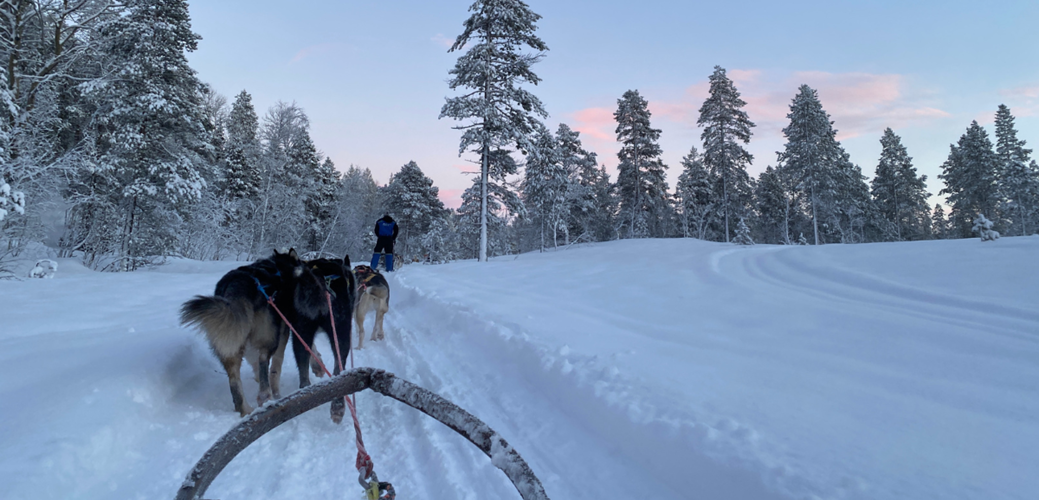 Ta balade en chiens de traineau à travers les forêts enneigées - Jour 6