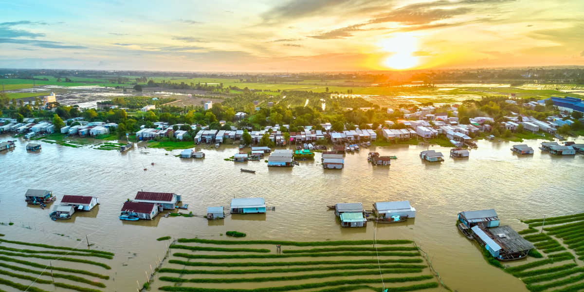 Puis embarquez à bord d'un bateau à Chau Doc, pour rejoindre le Cambodge 