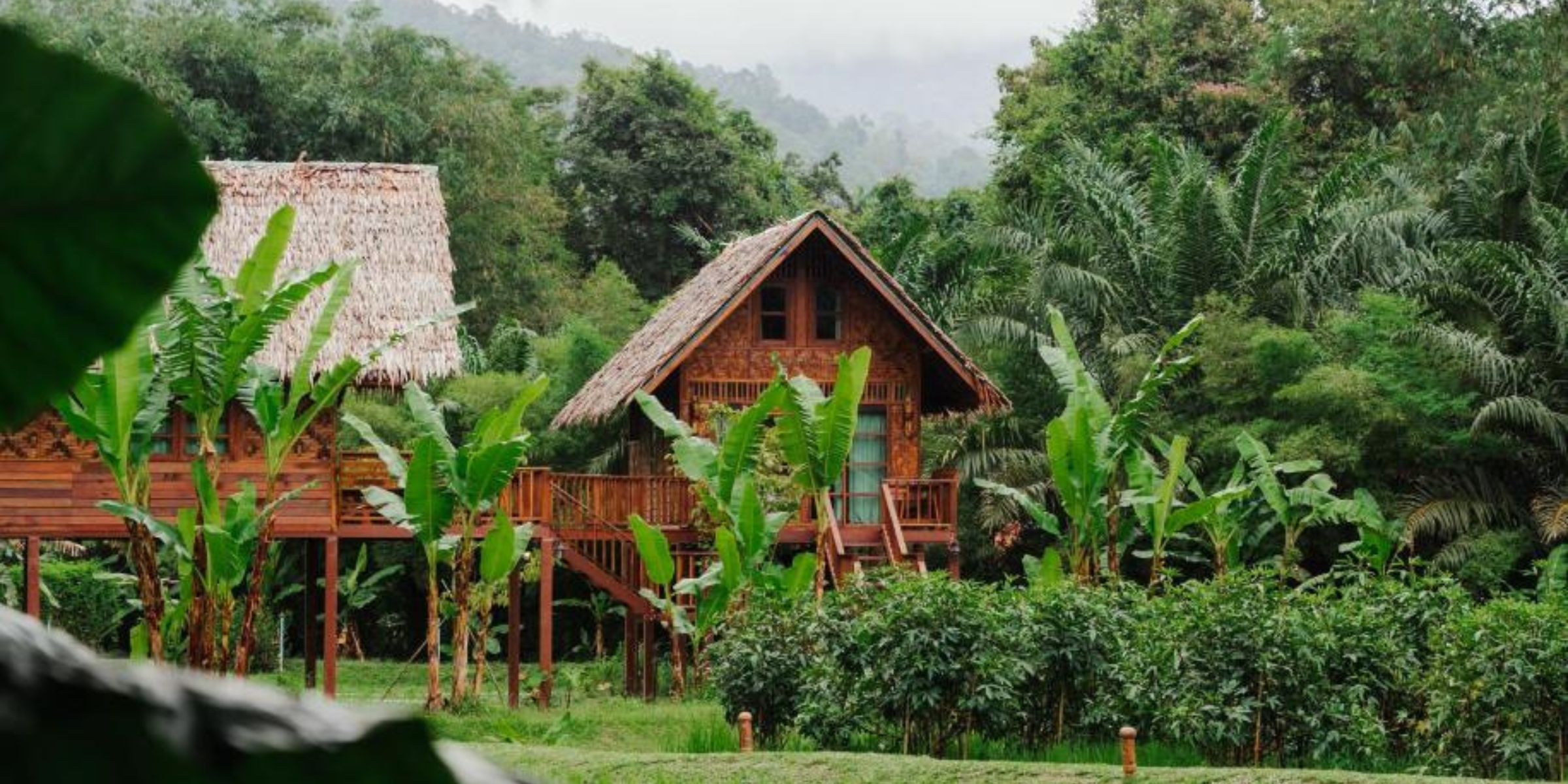 Cabane perchée dans la jungle, Khao Sok, Thaïlande ©Our jungle camp 