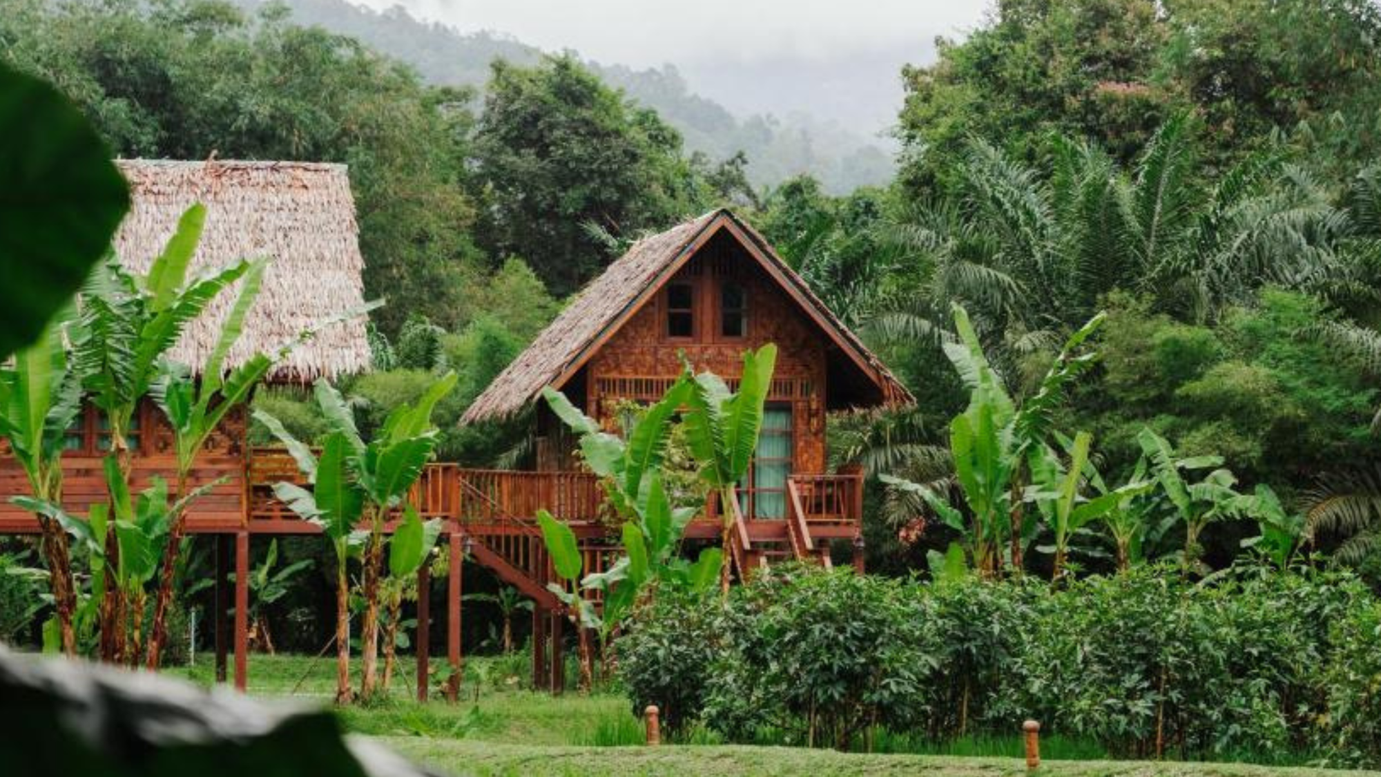 Cabane perchée dans la jungle, Khao Sok, Thaïlande ©Our jungle camp