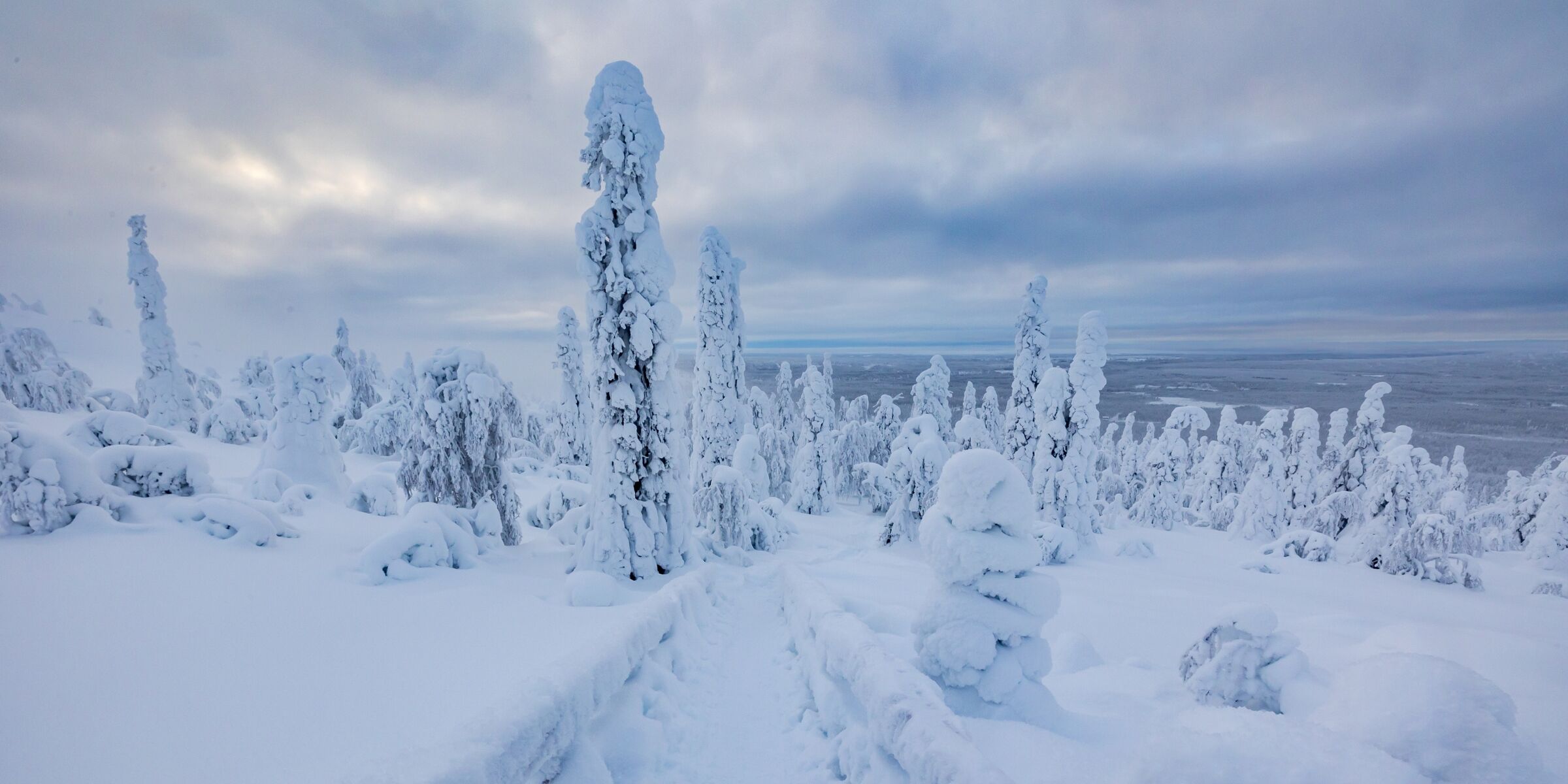 Parc national de Salla, Finlande ©Shutterstock.com
