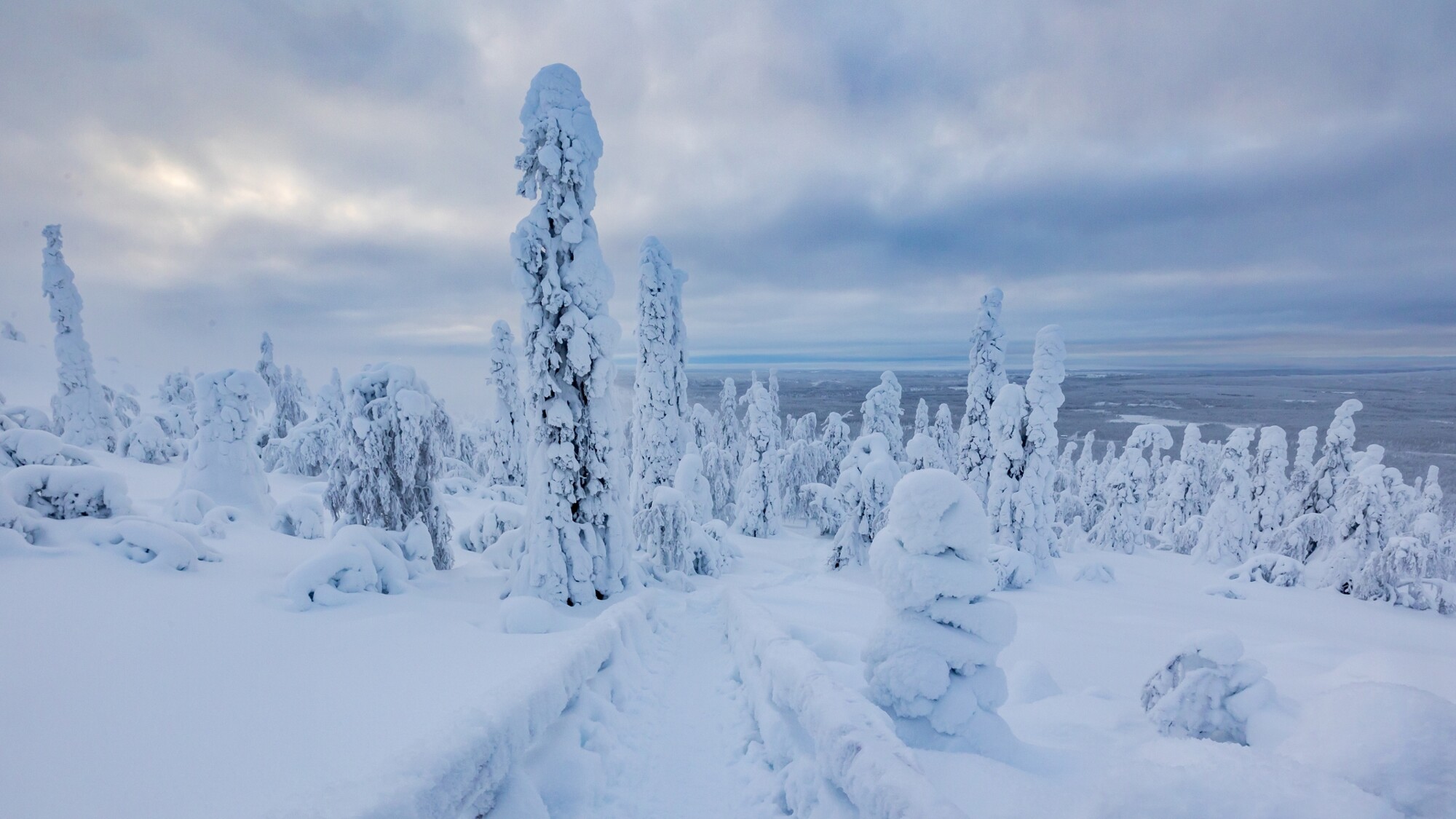 Parc national de Salla, Finlande ©Shutterstock.com