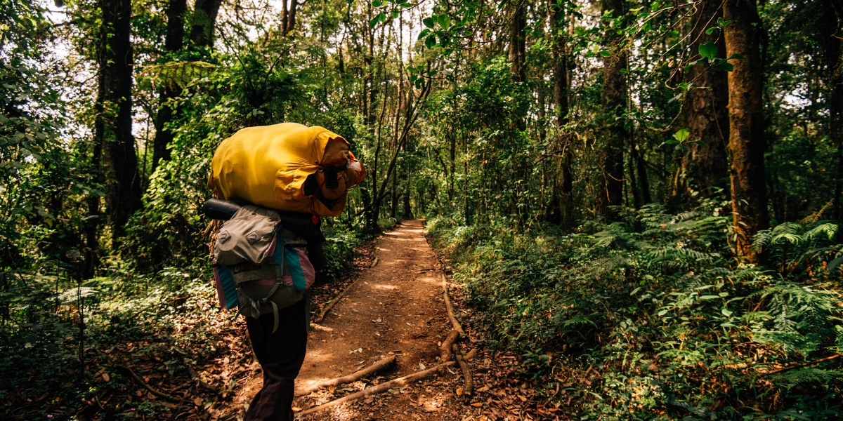 Petite mise en jambe à travers la forêt tropicale 
