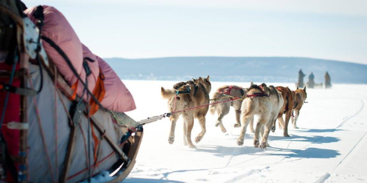 C'est parti pour l'aventure ! 
