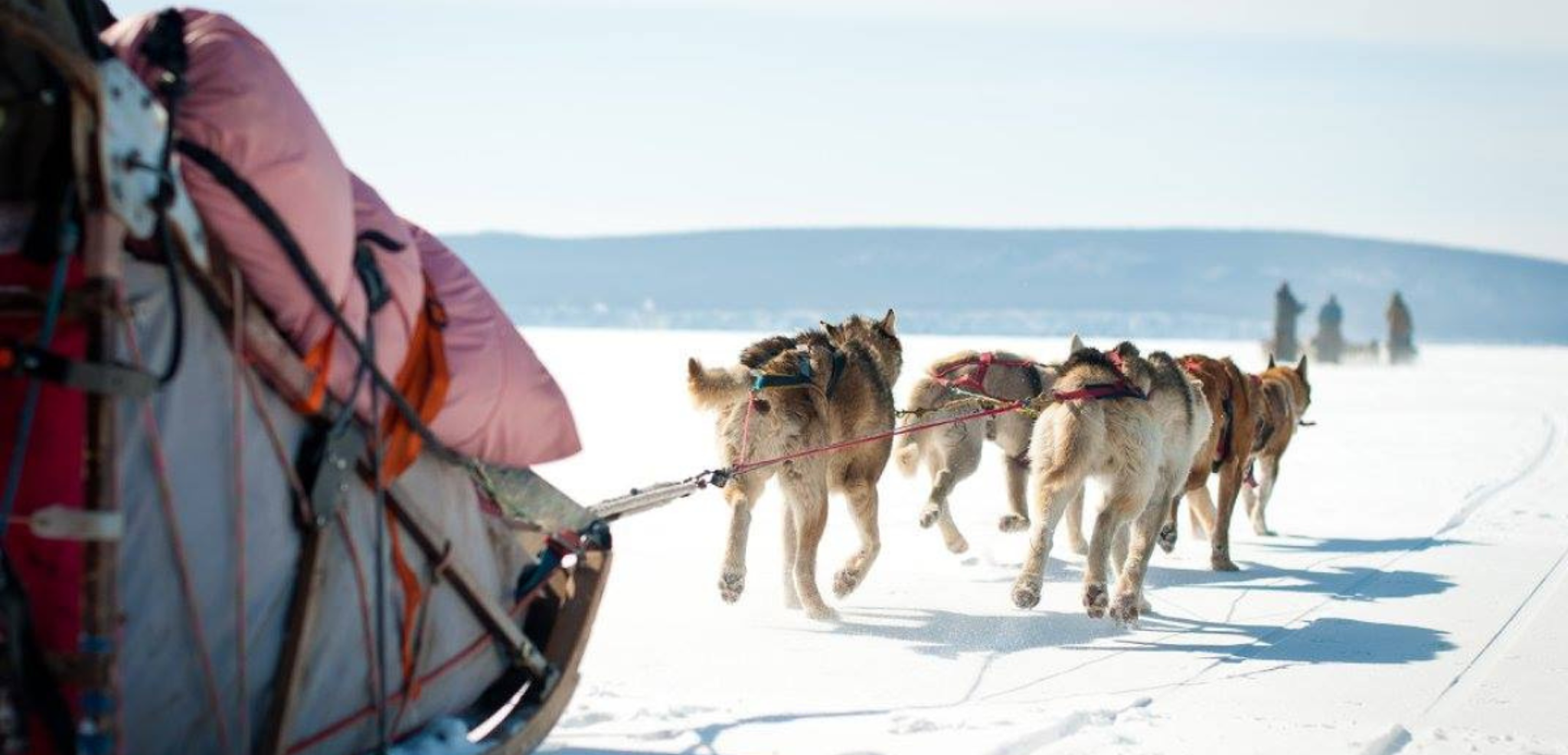 C'est parti pour l'aventure !