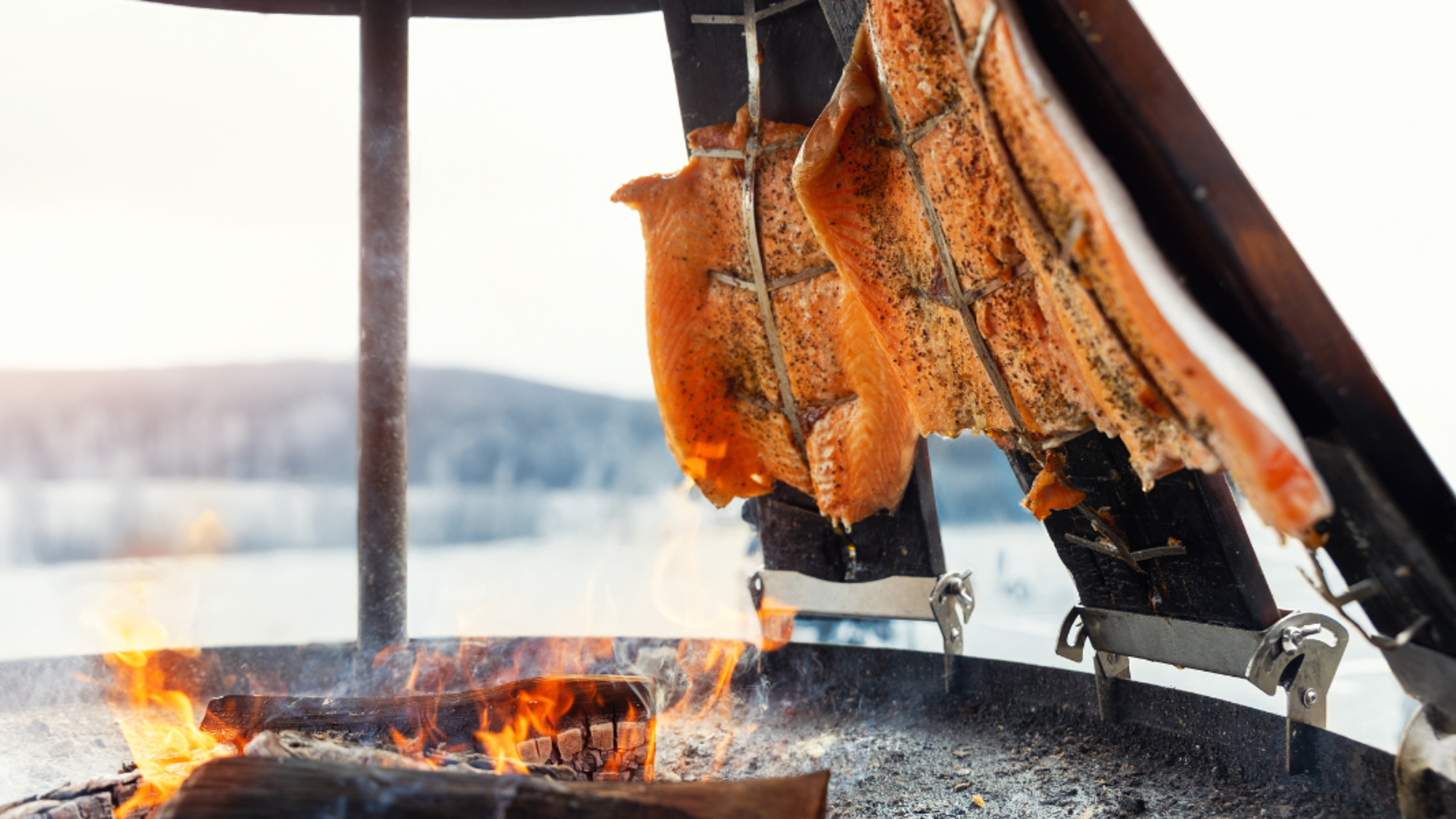 Une visite du musée de la vie lapone avec dégustation de poissons fumés - jours 2 à 7