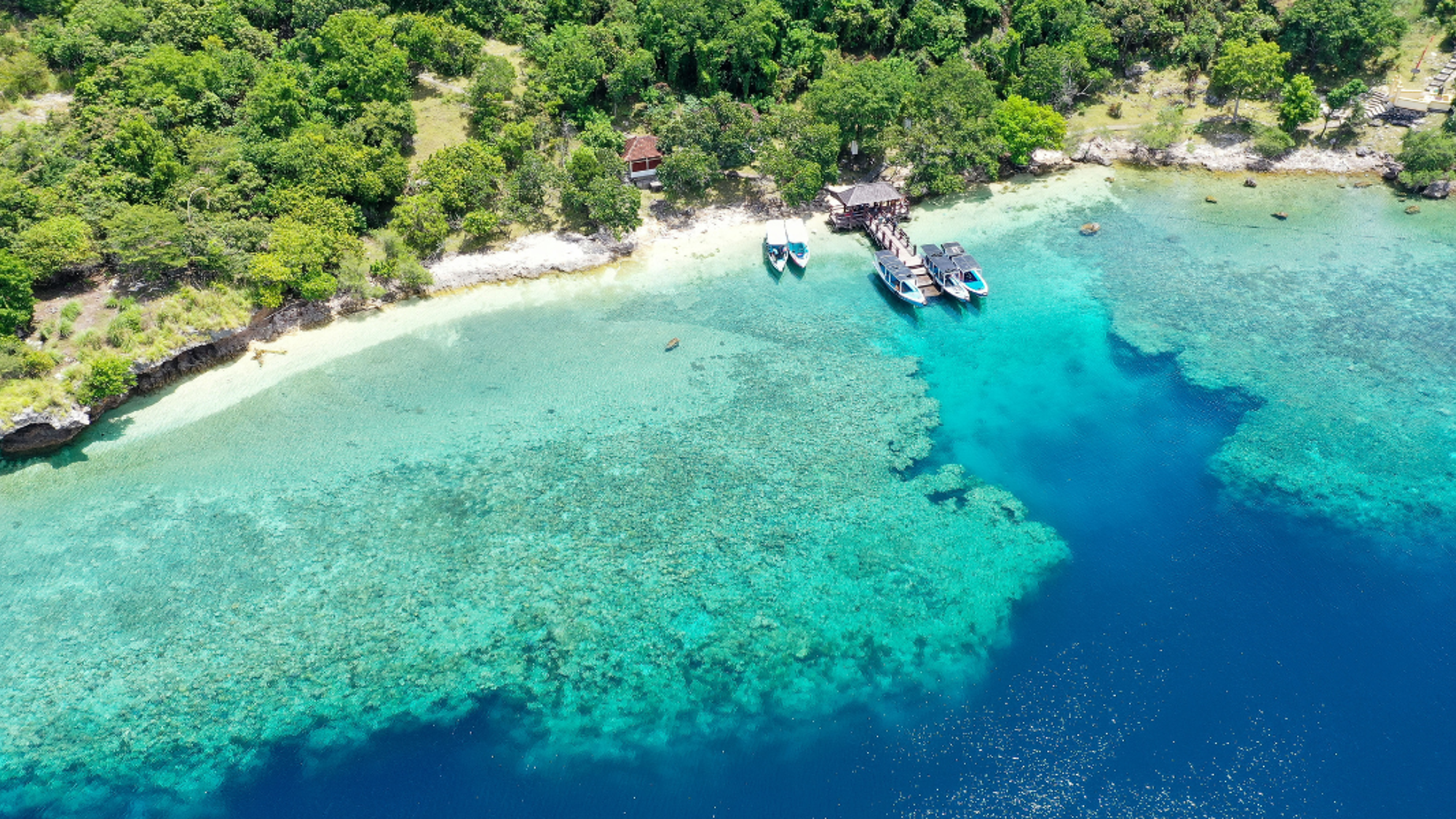 L’île de Menjangan
