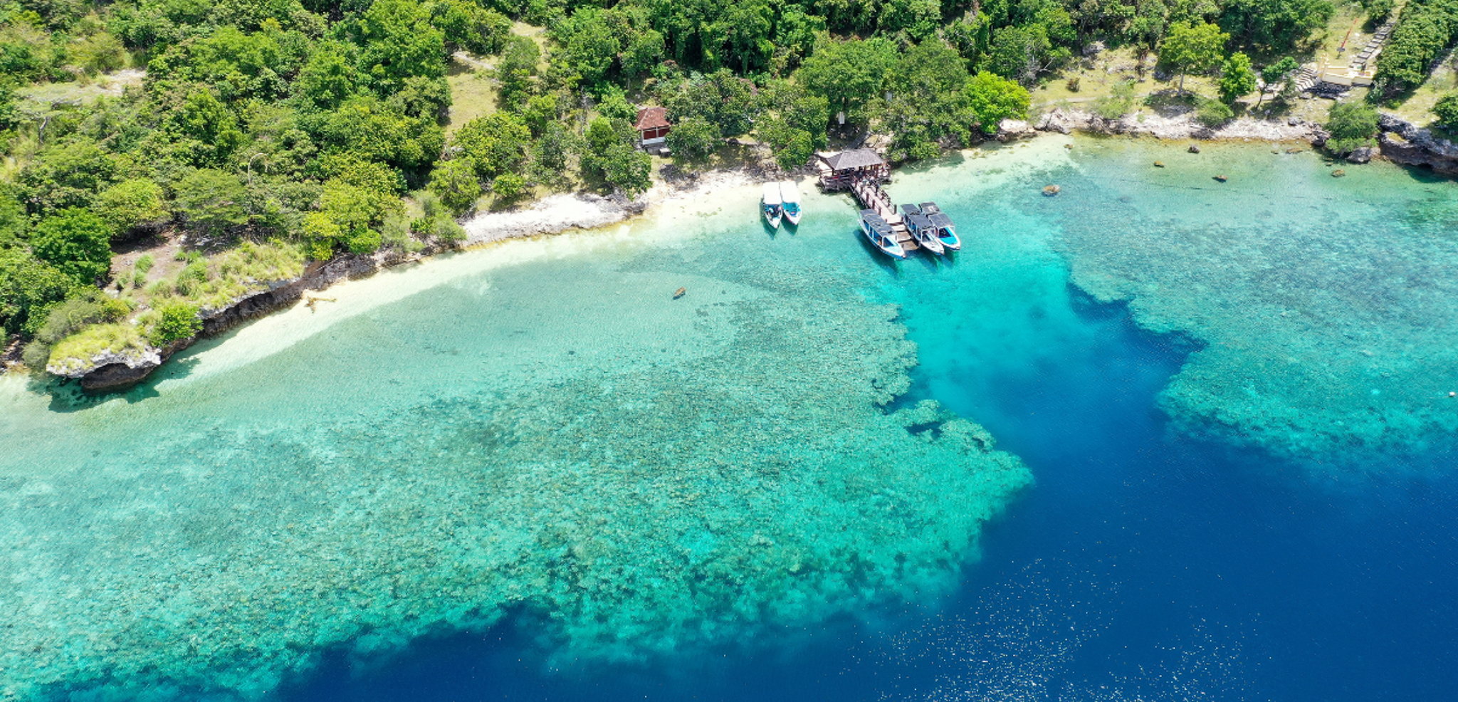 L’île de Menjangan