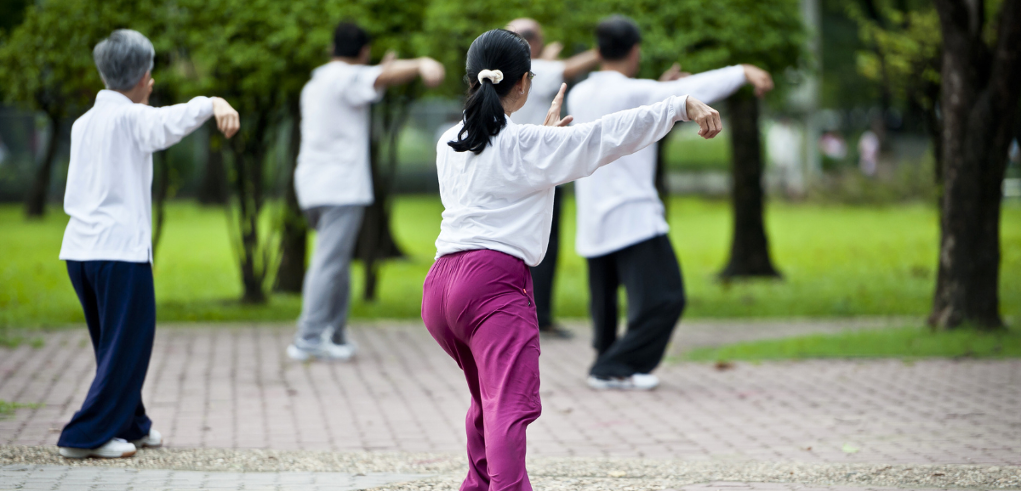 Les cours de Tai Chi dans les parcs de la ville