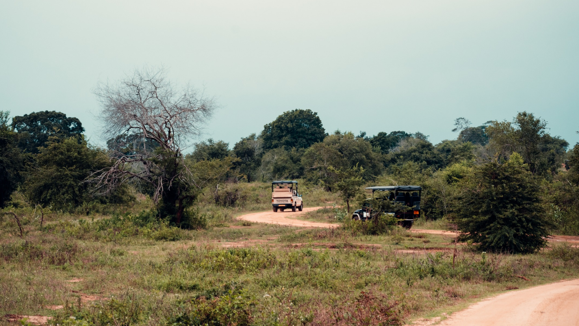Safari, Sri Lanka ©Maxime Moreau