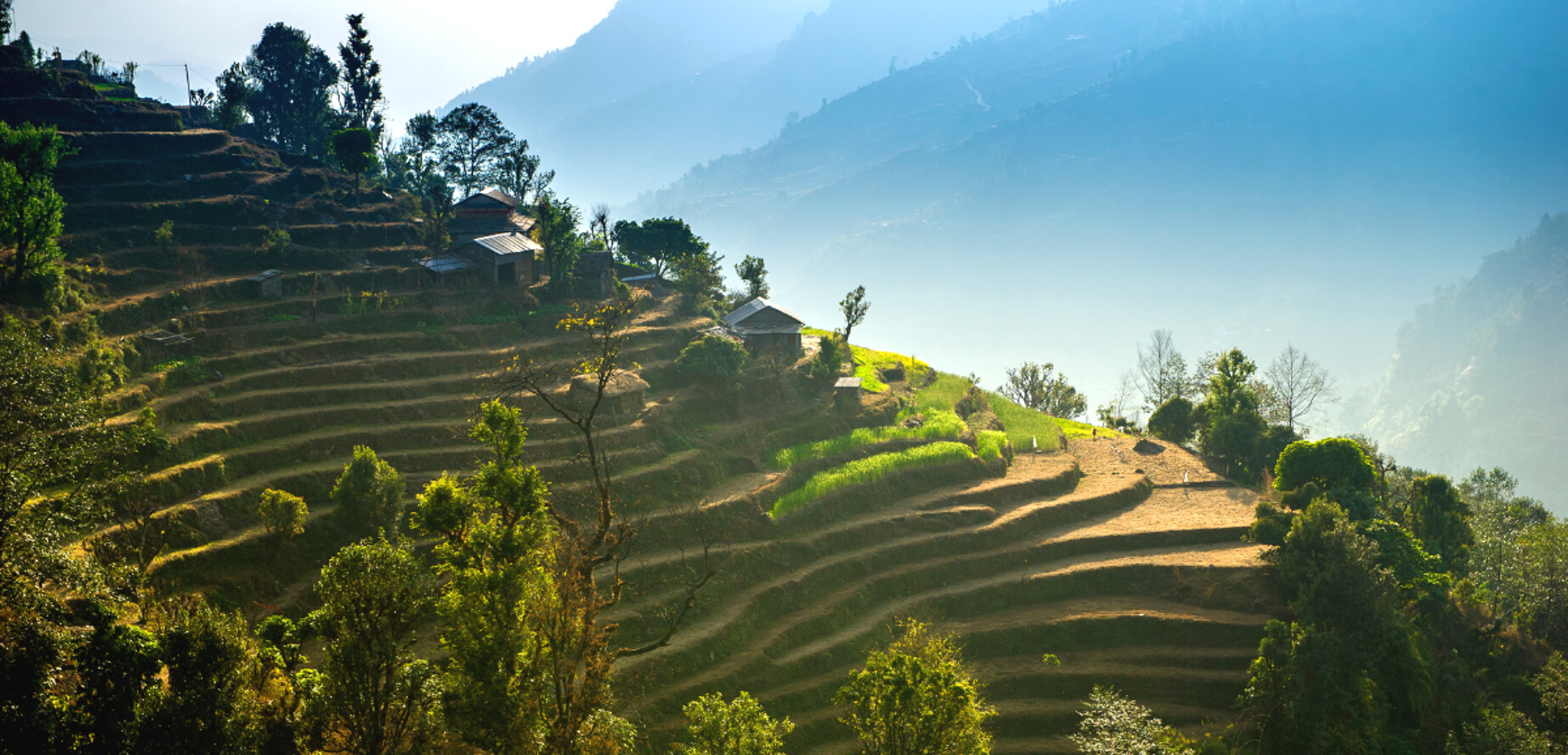 Les cultures en terrasses