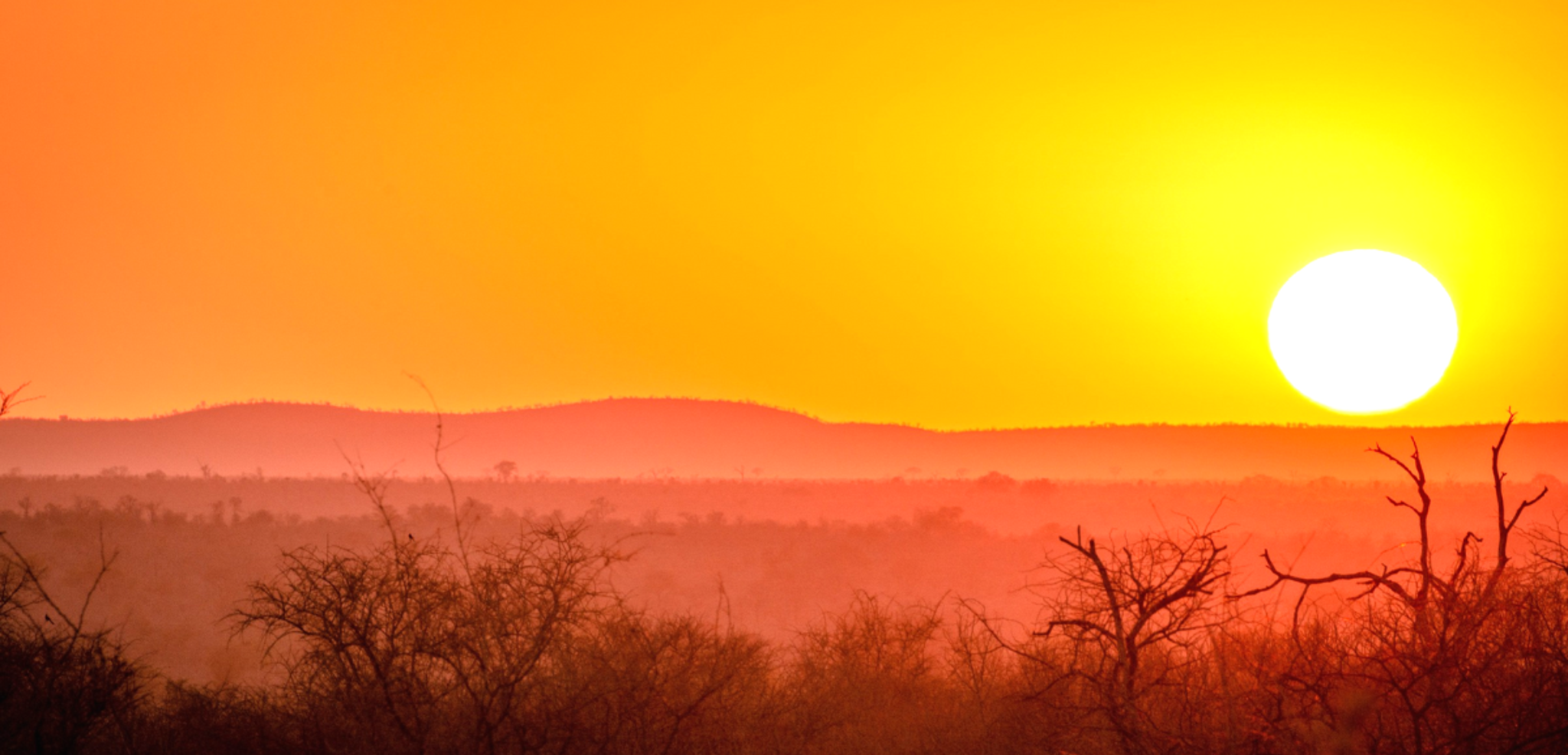 Bye bye Africa !