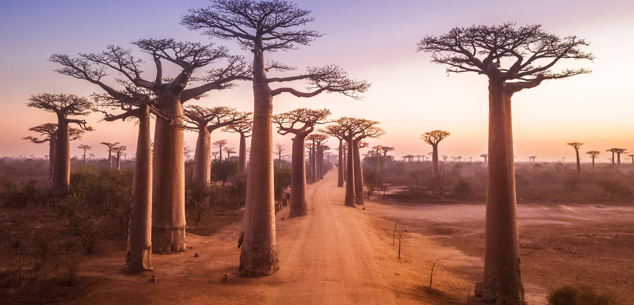 Bienvenue à Madagascar !
