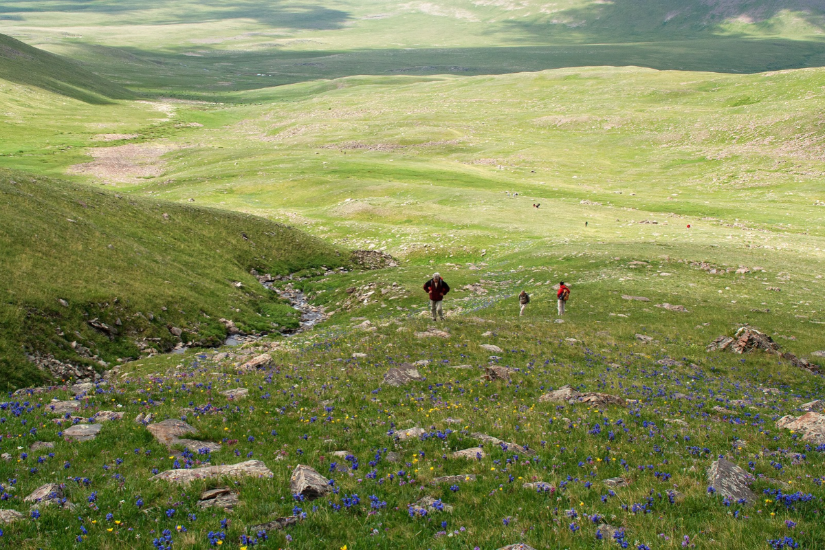 Randonnée, Mongolie 