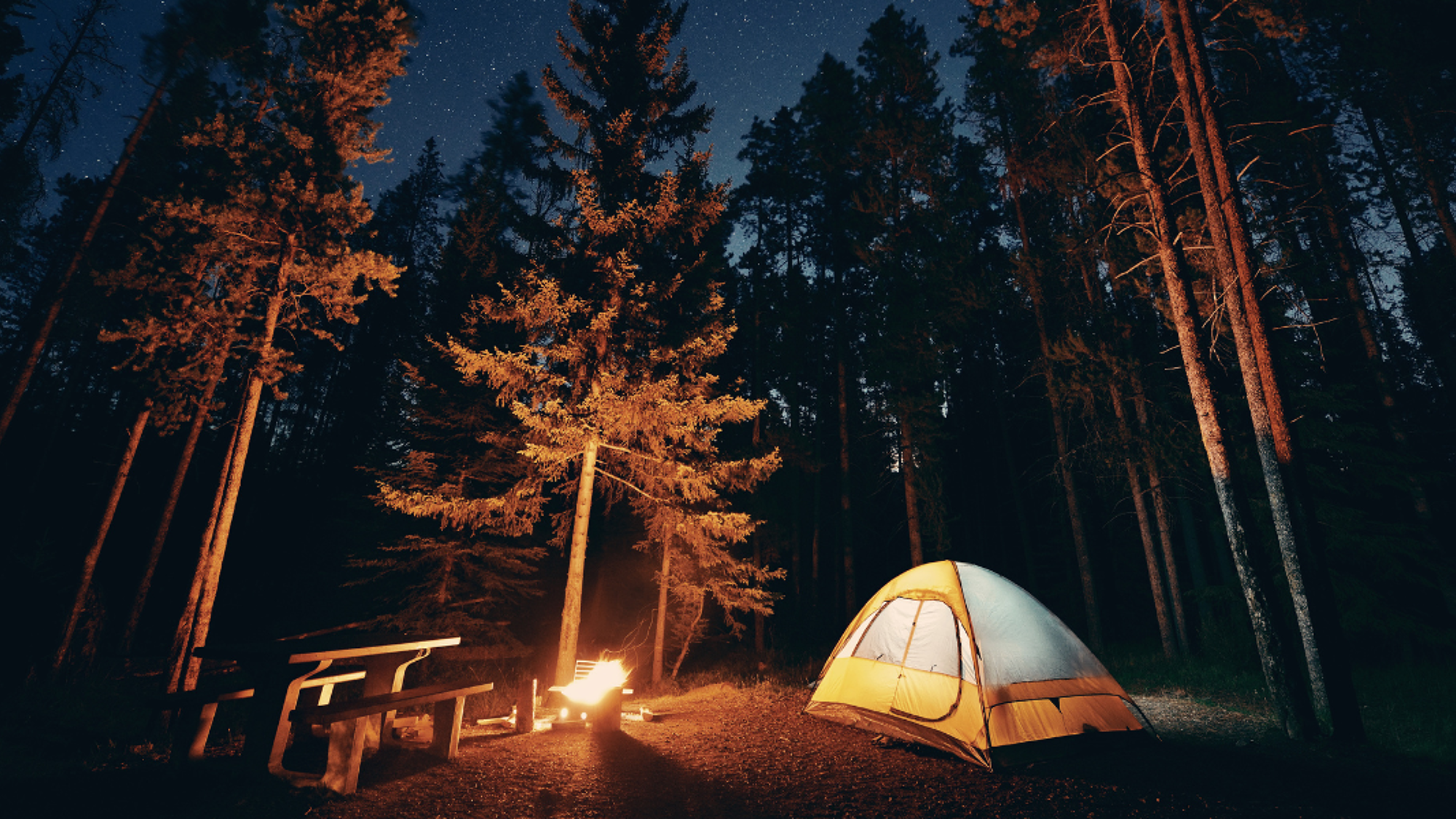 Des nuits à la belle étoile (photo non contractuelle)