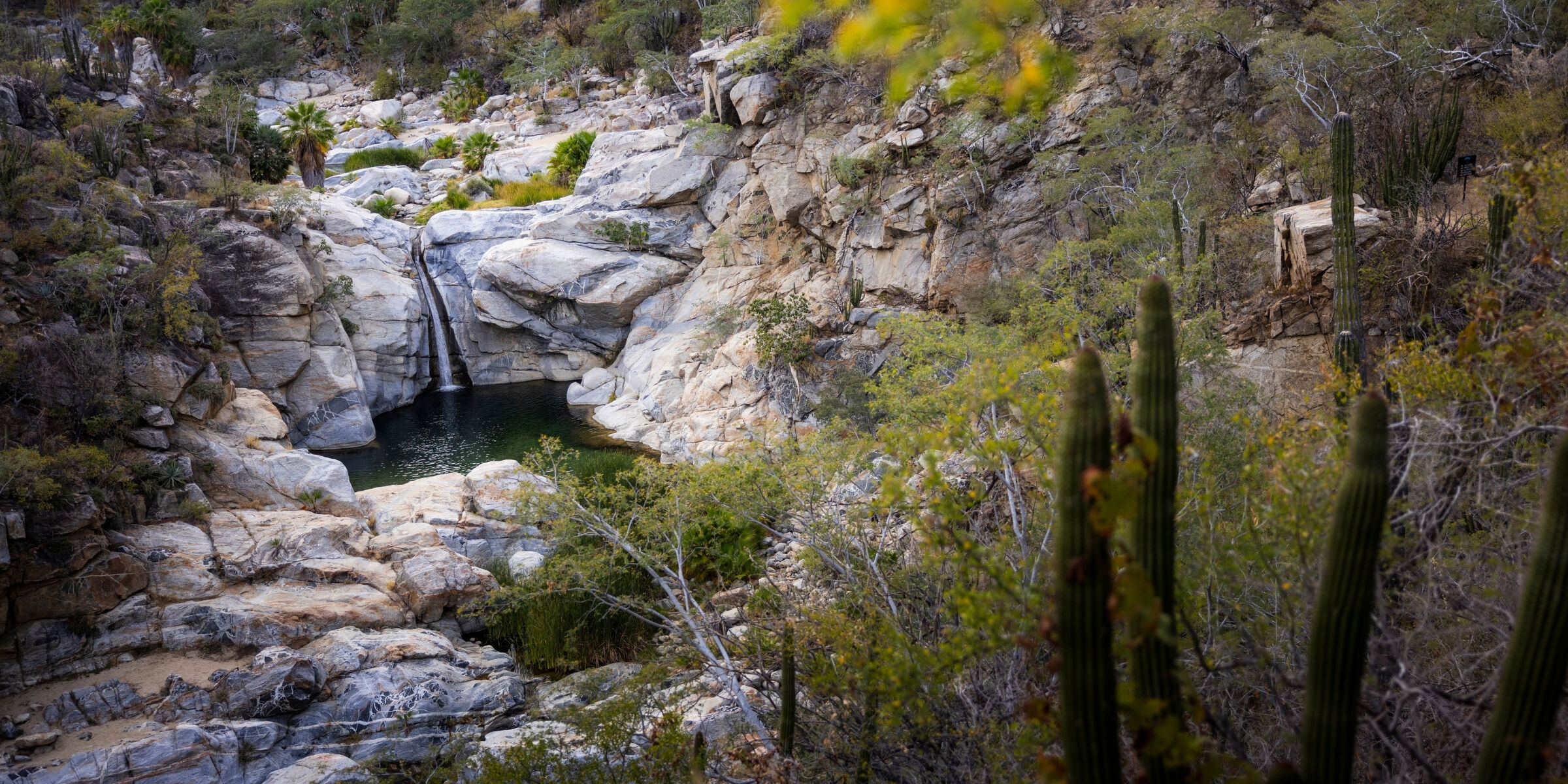 Canyon de la Zora, Baja California, Mexique ©Julien Fabro