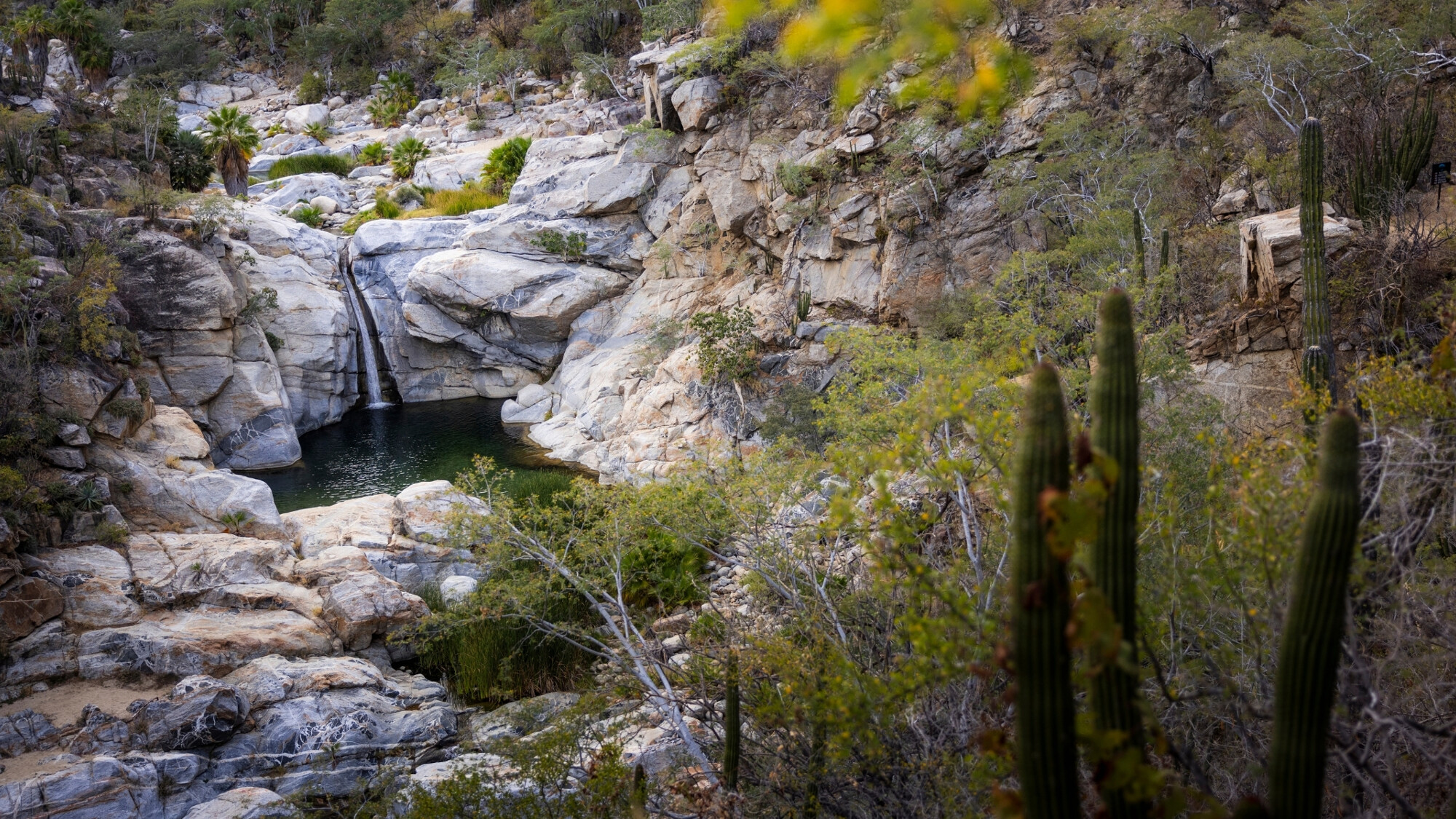 Canyon de la Zora, Baja California, Mexique ©Julien Fabro