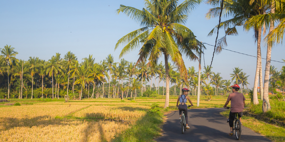 des balades en VTT pour en prendre plein les yeux