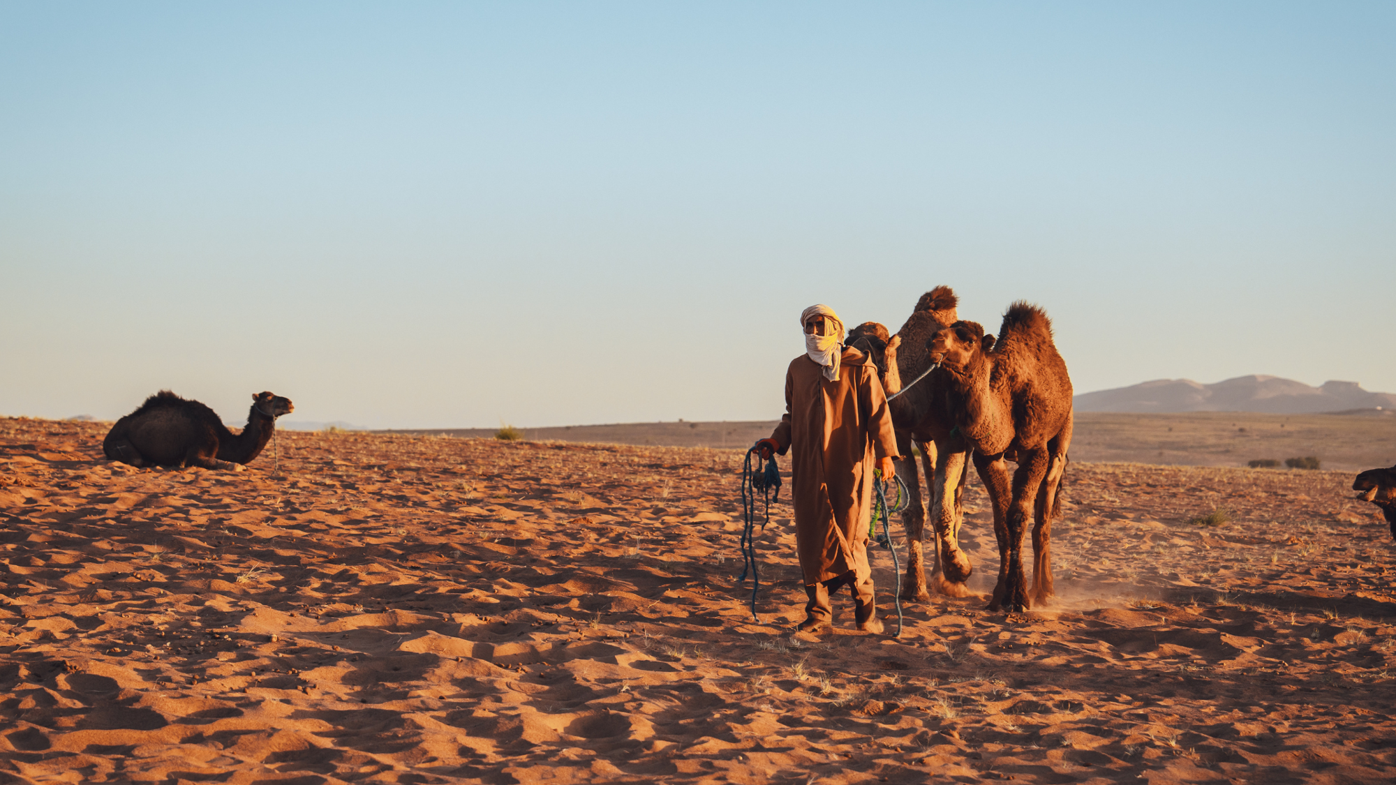 Randonnée désert, Maroc ©Maxime Moreau