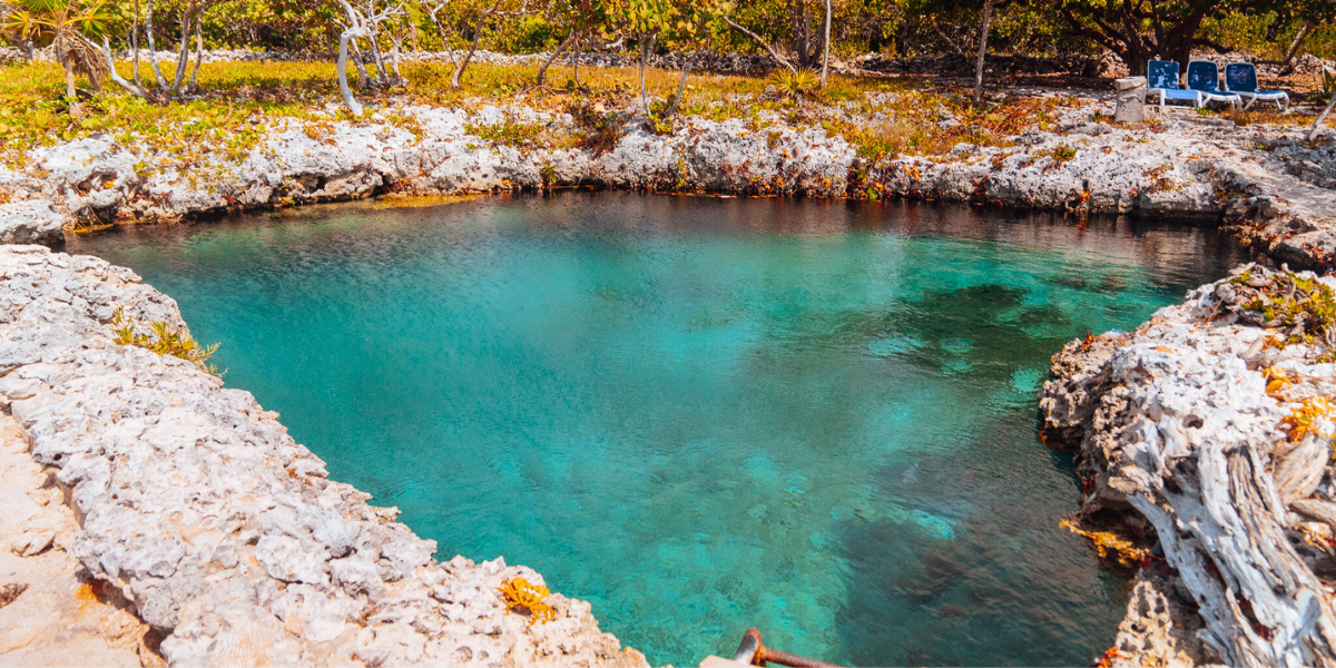 Explorez les fonds marins de Caleta Buena en snorkeling 