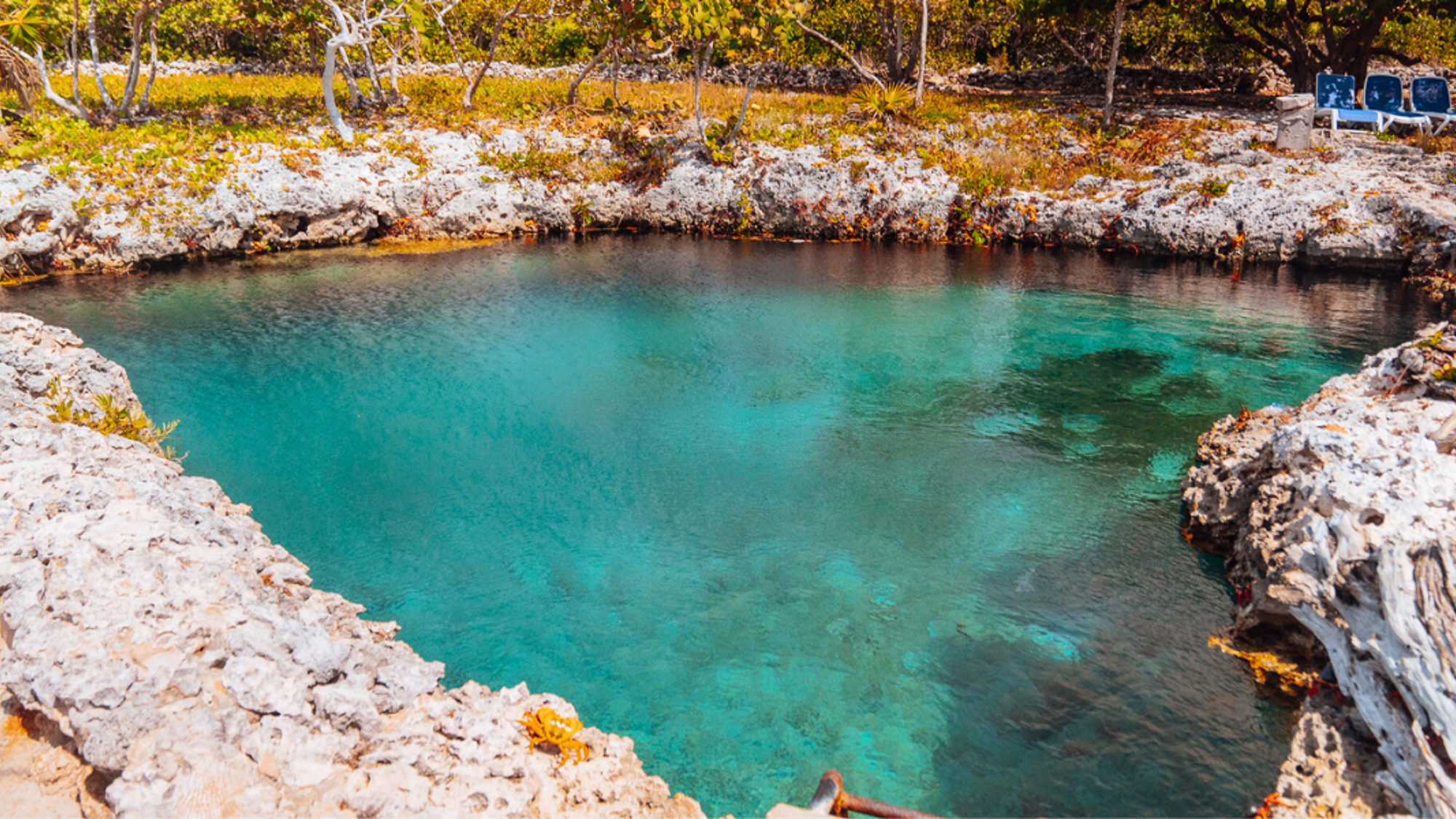 Explorez les fonds marins de Caleta Buena en snorkeling