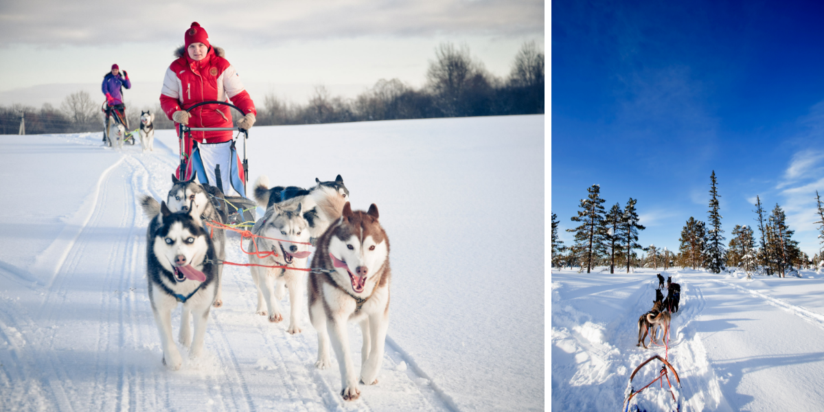 Pour profiter des joies du grand nord canadiens
